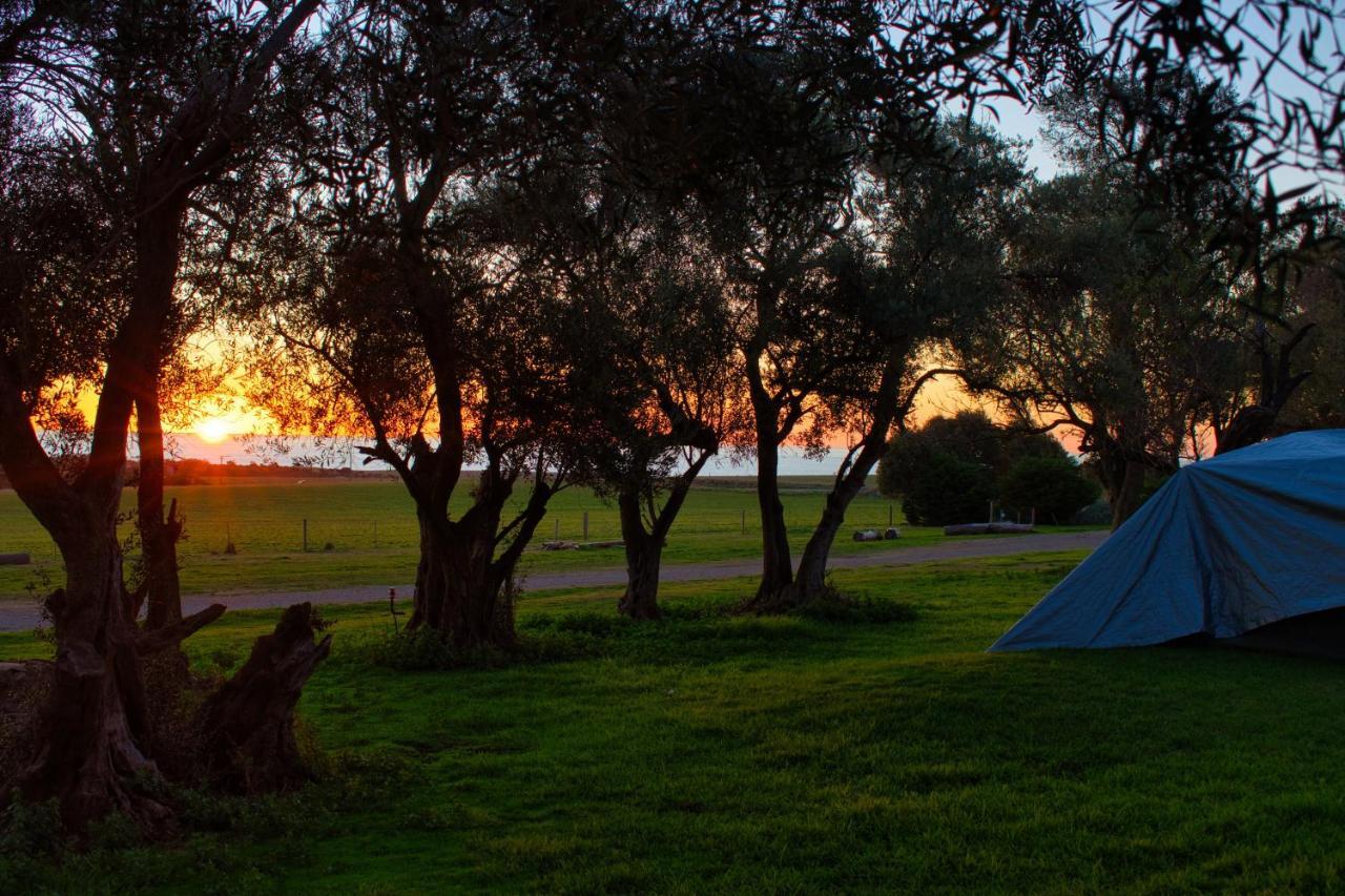Big4 Cape Jervis Accommodation & Caravan Park Экстерьер фото
